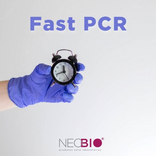 RealQ Plus master mixes Ampliqon: PCR em tempo real em menos tempo e de alta efici&ecirc;ncia