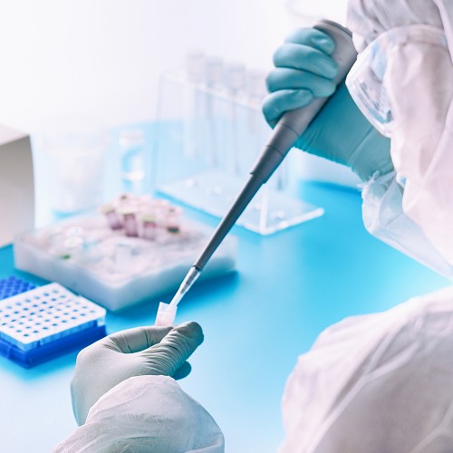 A import&acirc;ncia da escolha correta dos reagentes para PCR
