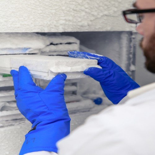 O papel vital do congelamento de c&eacute;lulas em pesquisa e medicina: Desafios, Solu&ccedil;&otilde;es e Tecnologias Envolvidas
