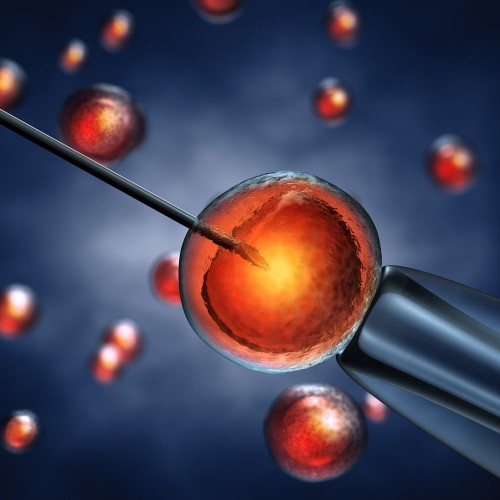 Pl&aacute;sticos essenciais para fertiliza&ccedil;&atilde;o in vitro: import&acirc;ncia e benef&iacute;cios