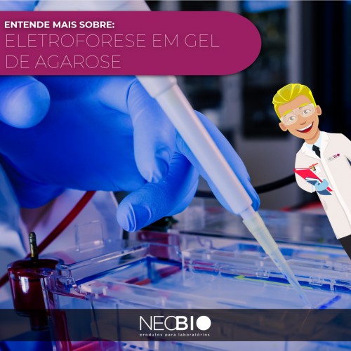 Eletroforese em gel de agarose