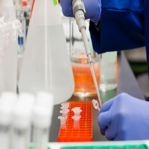 PCR: Revolucionando a Diagn&oacute;stica M&eacute;dica com Tecnologia e Precis&atilde;o