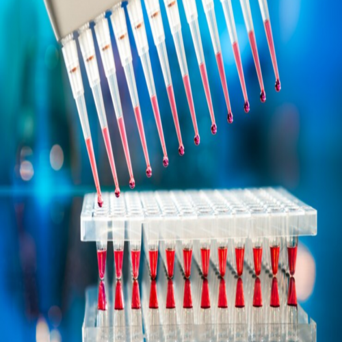 Descubra como a PCR em tempo real (qPCR) est&aacute; contribuindo para o diagn&oacute;stico de doen&ccedil;as 