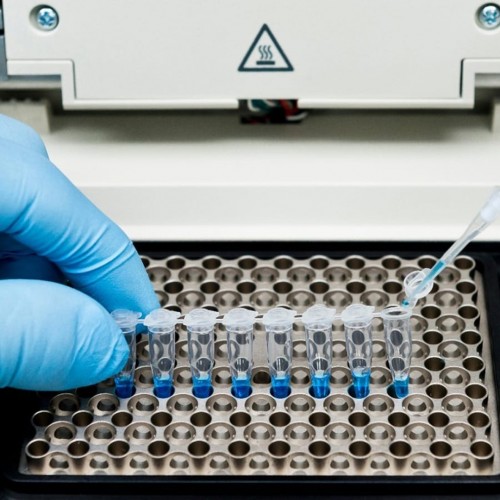 Amplia&ccedil;&atilde;o da Aplica&ccedil;&atilde;o da PCR em Medicina Forense: Avan&ccedil;os na Identifica&ccedil;&atilde;o e An&aacute;lise Gen&eacute;tica