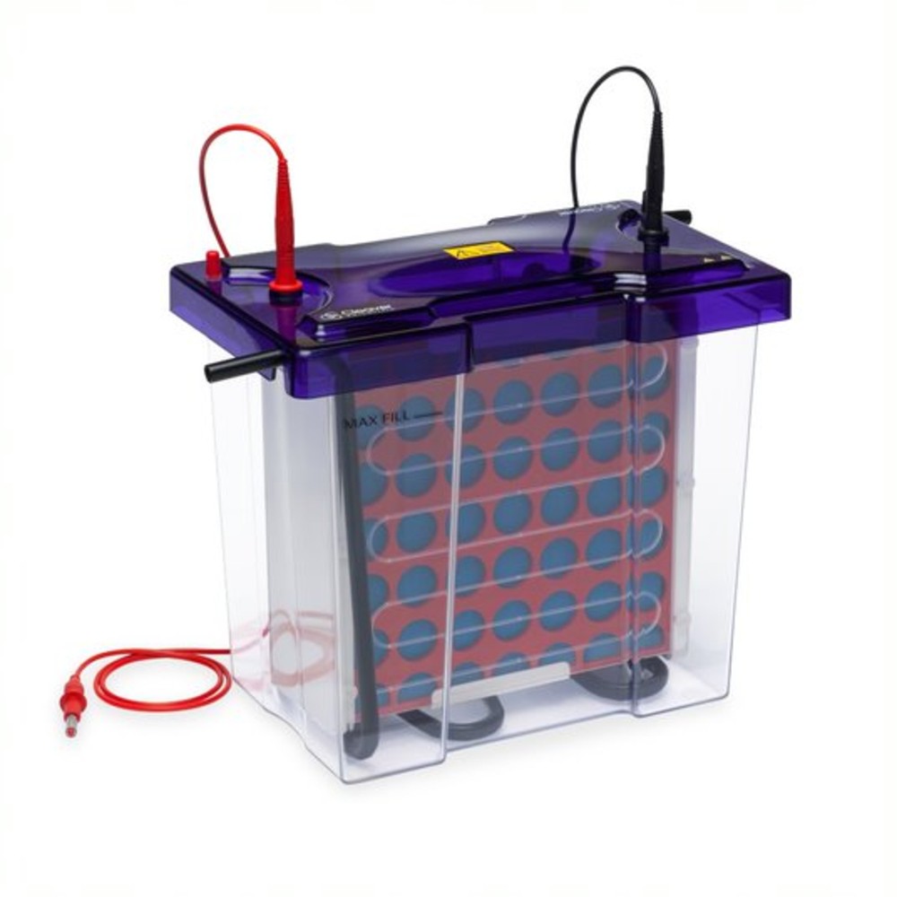 Sistema DE ELETROBLOTTINg omniBLOT