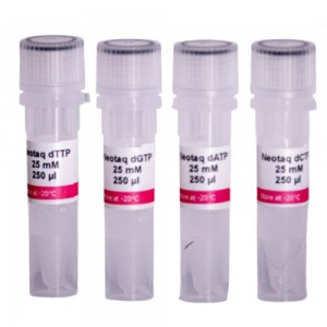 dNTP Set