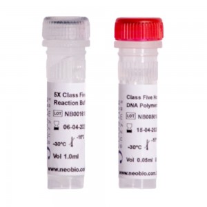 Class Five Hot Start Taq DNA Polimerase 250U