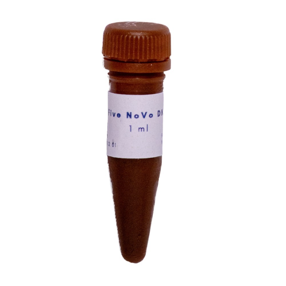Class Five NoVo DNA Stain 