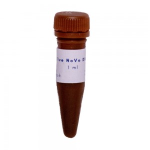 Class Five NoVo DNA Stain 