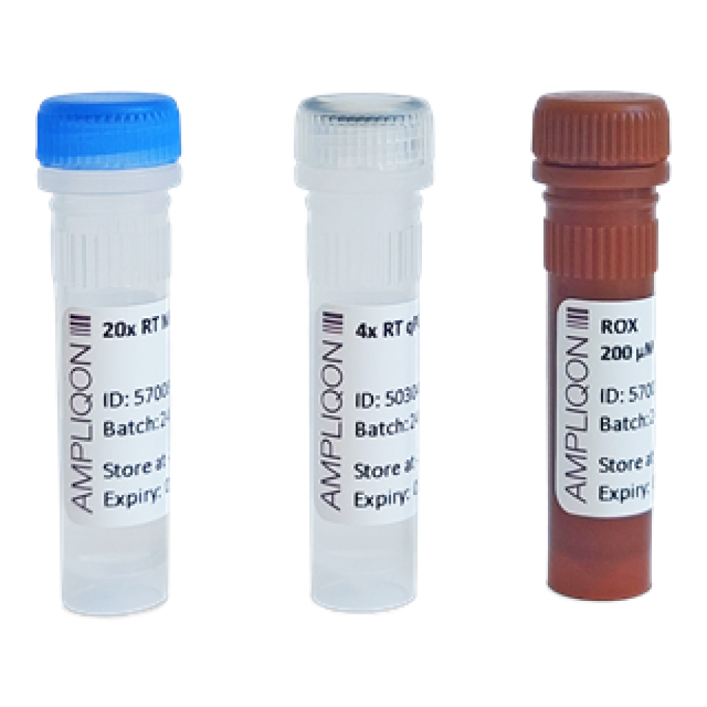 Kit RT qPCR One-step