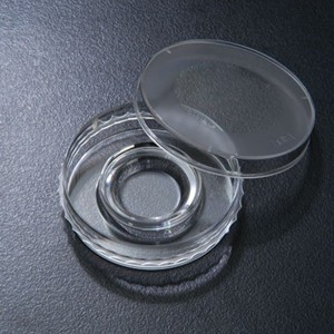 Placa para Fertiliza&ccedil;&atilde;o in Vitro (FIV) 60x20 mm