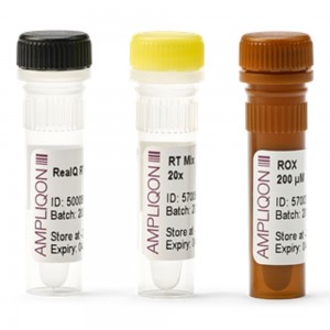 Kit  RT-PCR RealQ Virus One-Step 