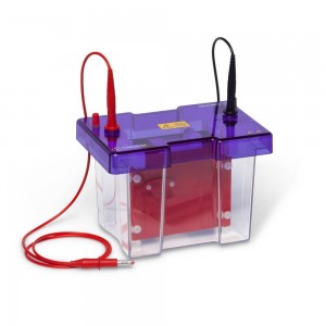 Sistema de eletroblotting Sub Blot Mini de Alta Intensidade