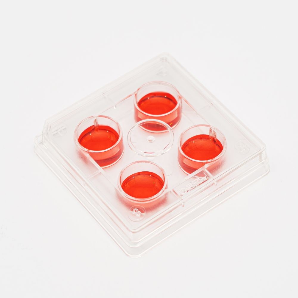 Placa para Cultura Celular com 4 Po&ccedil;os