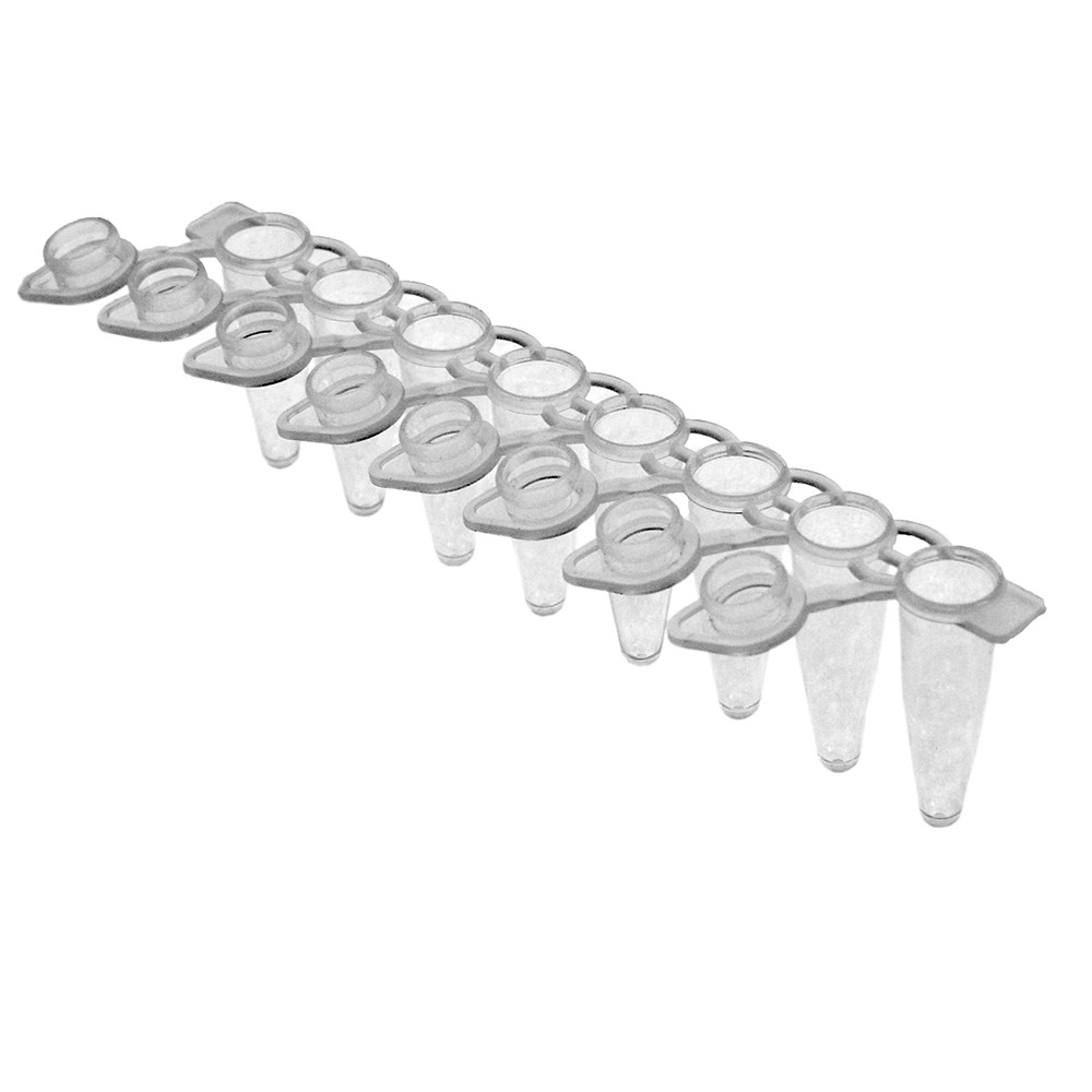 Strips para PCR com tampa reta strip 100 ul