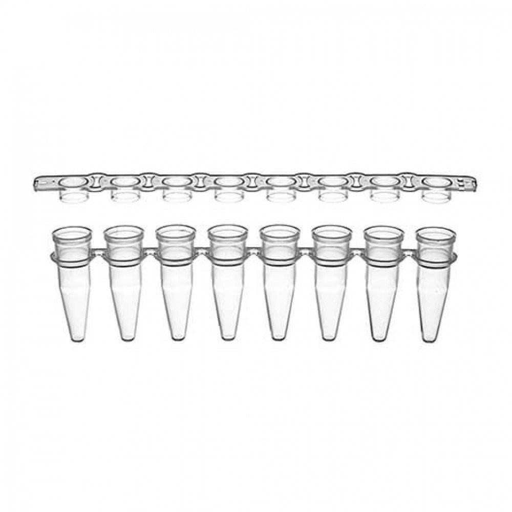 Tiras com 8 tubos de PCR de 200 uL com tampas separadas