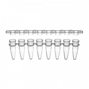 Tiras com 8 tubos de PCR de 200 uL com tampas separadas