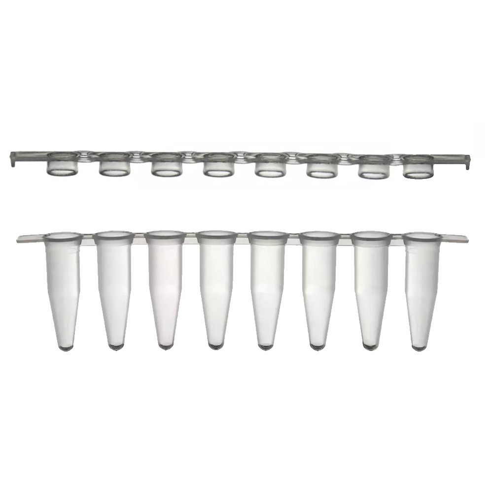 Strips para PCR com tampa reta strip 100 ul