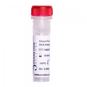 Class Five Taq DNA Polimerase 500U (5U/uL)