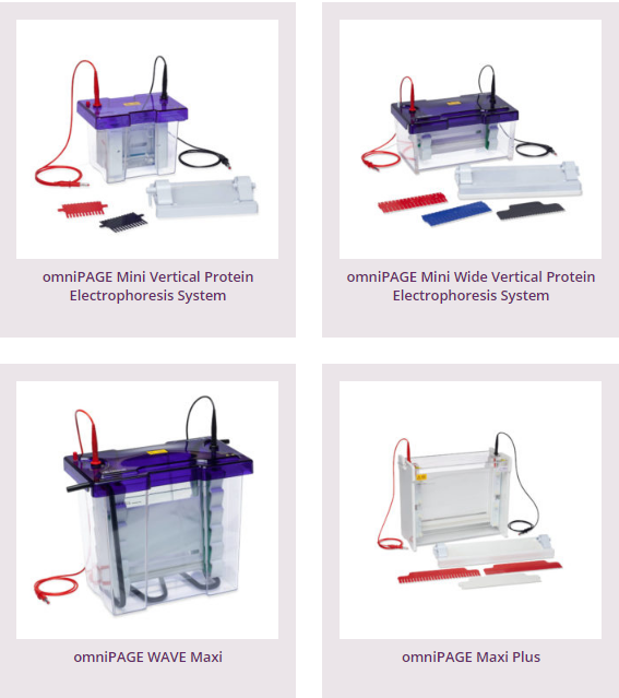 Equipamentos para eletroforese em gel de poliacrilamida
